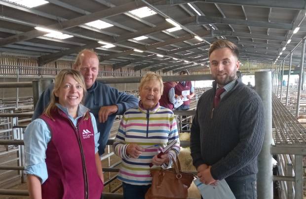 Brecon venue ready to host sale for early lamb producers