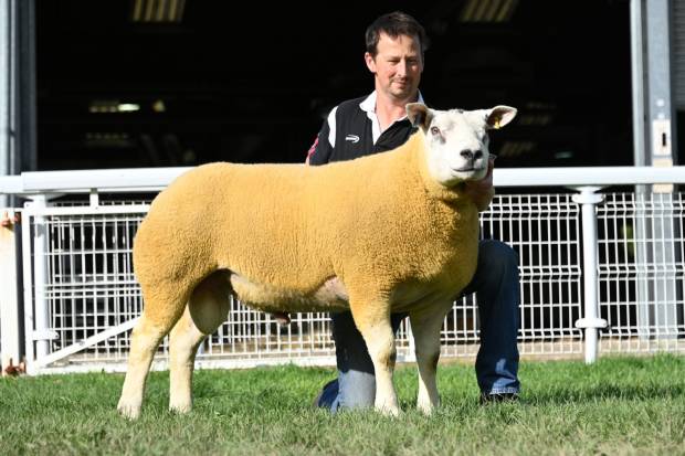 High Hopes for Ram Sale