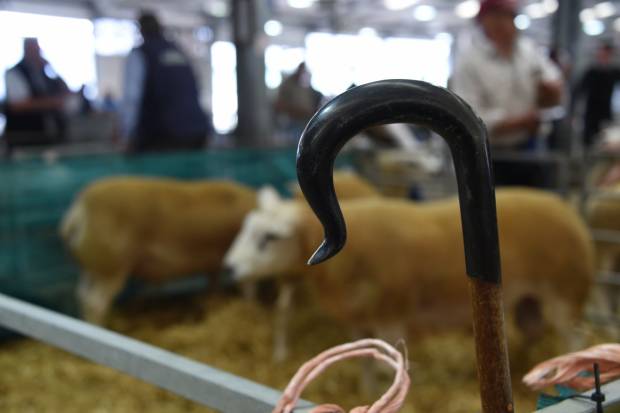 NSA Wales & Border Ram Sales
