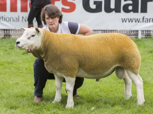 Brisk Trade for NSA Wales & Border Main Sale