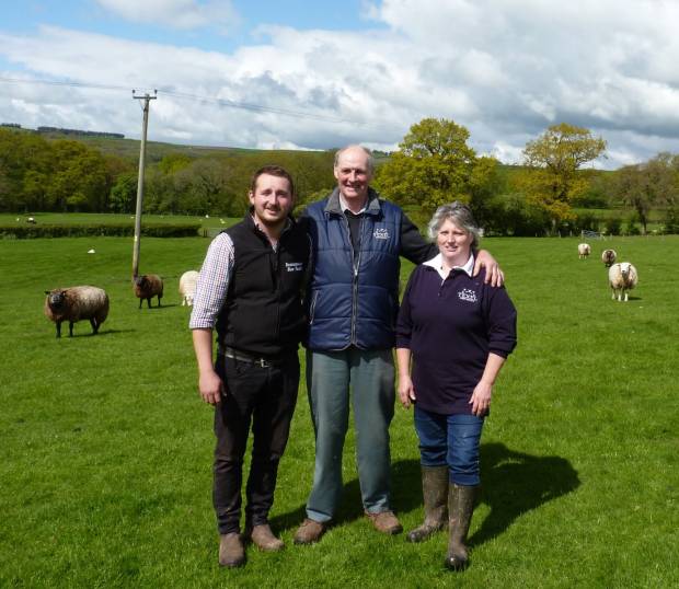 Choice is the Draw at NSA Wales & Border Ram Sales