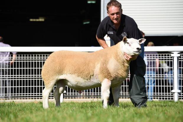 Buoyant Trade for NSA Wales & Border Main Sale as Turnover pushes £2million