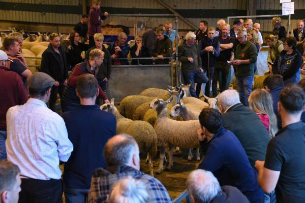 Wales & Border Ram Sale  - Welsh Consultation Response