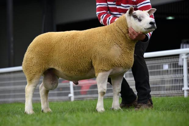 Texel Society Ballot 2023