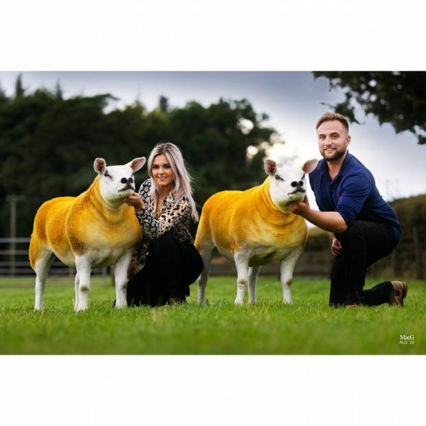 Flying Start for Next Generation of NSA Wales & Border Ram Sales ‘Family’