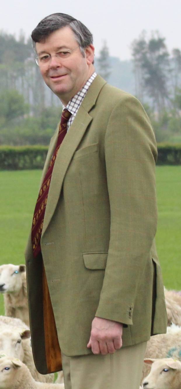 Lakeland Farmer Credits NSA Wales & Border Ram Sales