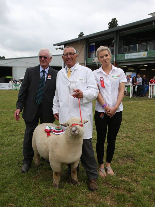 George Hughes Ram Lamb Championship