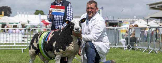 Dutch Spotted Sheep Society