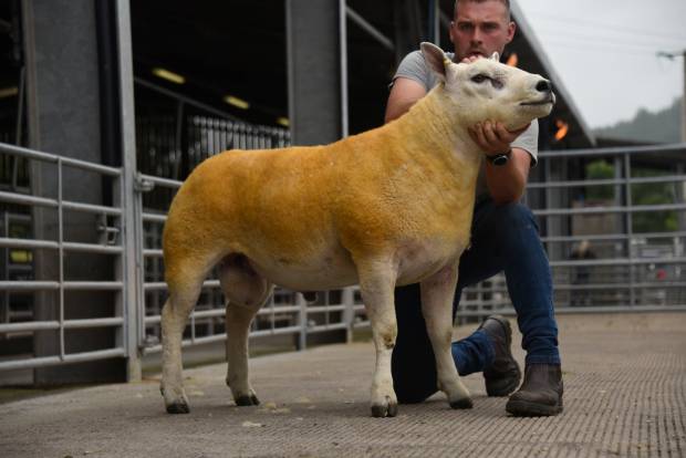 Record Clearance and Good prices at the NSA Wales & Border Early Sale