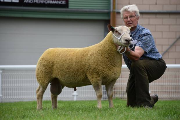 NSA Wales & Border Early Sale Moves to Brecon