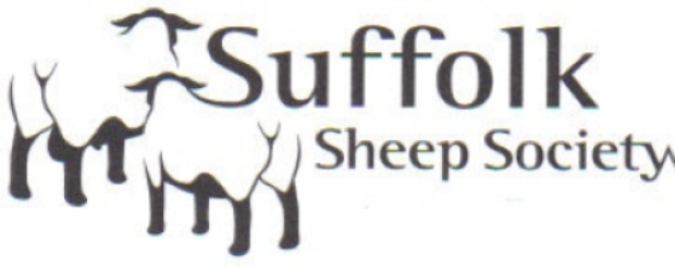 Suffolk improvements at the NSA Wales & Border Main Sale