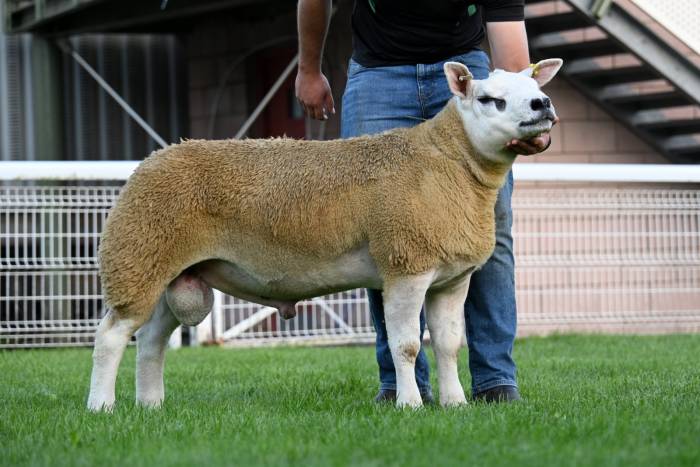 Lot 2923 sold for 20,000gns