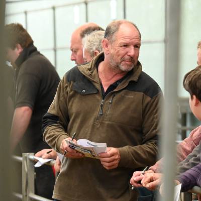 Pictures from the Hereford Sale