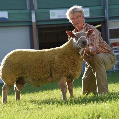 Lot 3451 from C H Marwood & Son, York