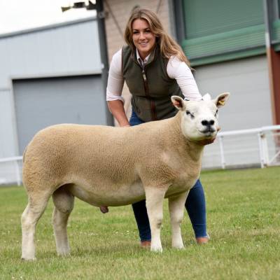 Lot 229 from Dona Williams Blacket House. Joint top price Texel at 1400gns