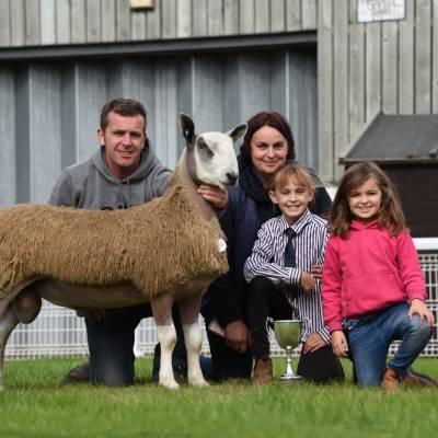 Lot 338 from Harries & family Llandeilo 15000gns