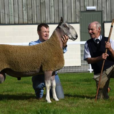 Proud consignors. Lot 2 