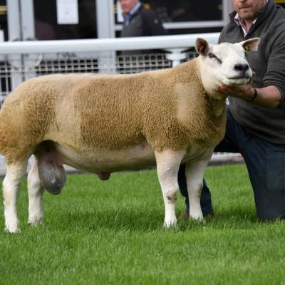 Lot 3578 4,400 gns SJL & JE James