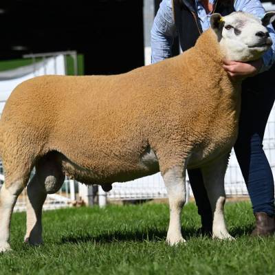 Lot 2172 from R J Watkins sold for 5000gns