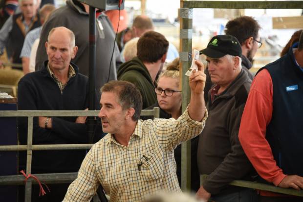 2021 Sale day images