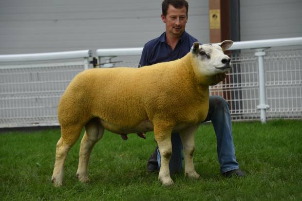 Main Sale 2023 Sunday