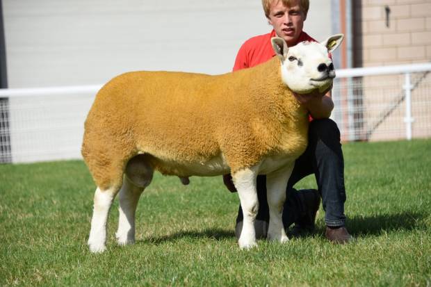 Early Ram Sale 2019
