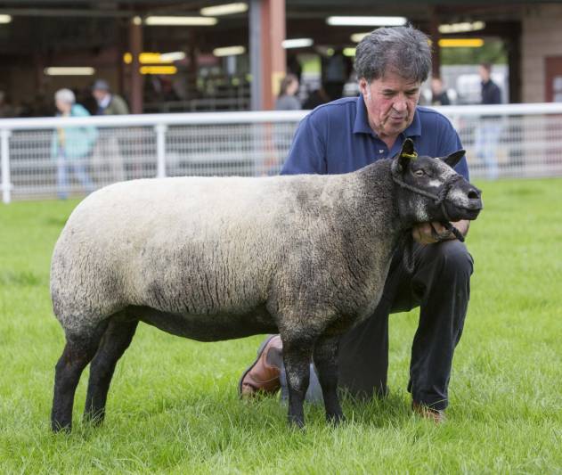 Lot 1343 2200gns
