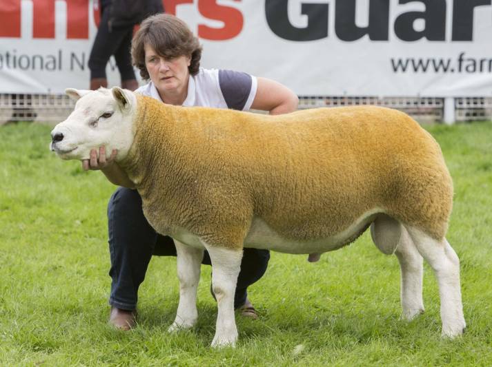 Lot 3389 5500gns
