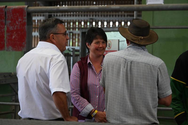 Pictures from the Hereford Sale