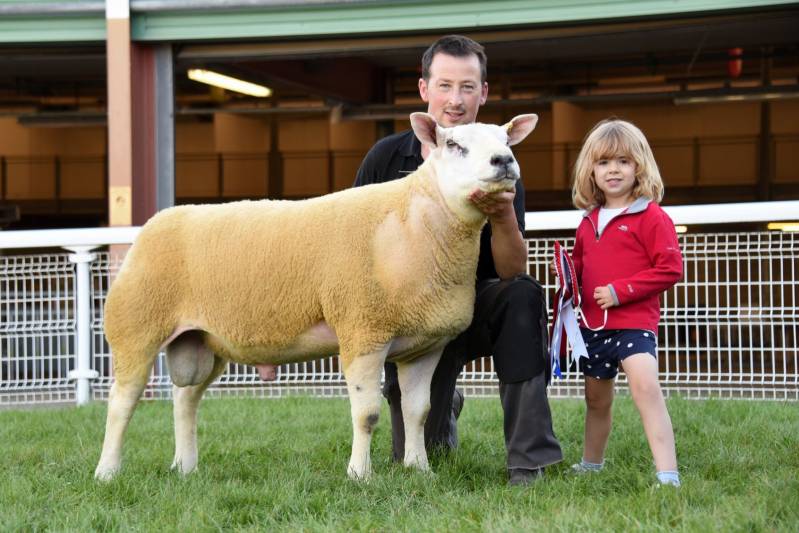Champion Texel from WO & PE Reed, Haverfordwest