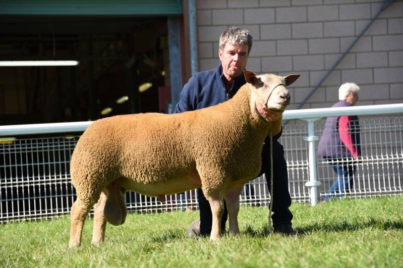 Lot 3252 from T H Roberts 2500gns