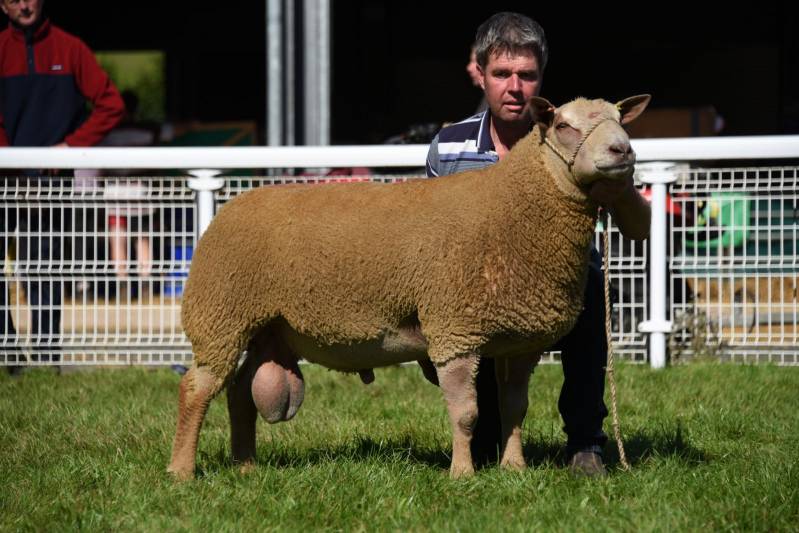 Lot 3253 2600gns from T H Roberts