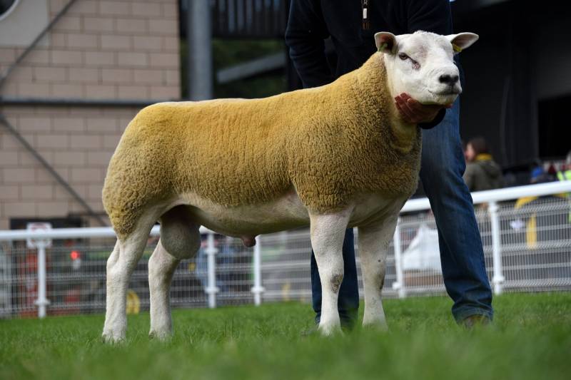 Lot 2664 from S Abberley 5200gns