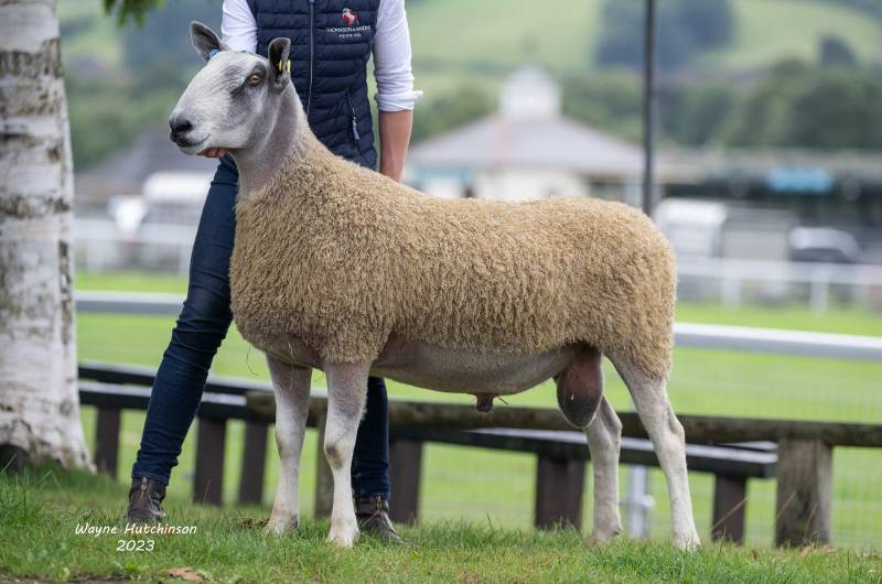 Lot 1221 from Miss S Harding sold for 3000gns