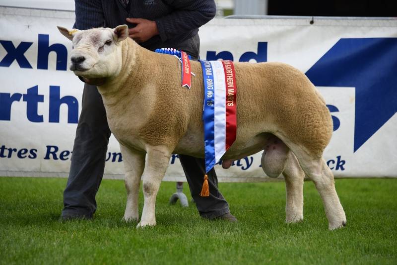 LOt 3527 7,000gns from Mess J Watson & Co