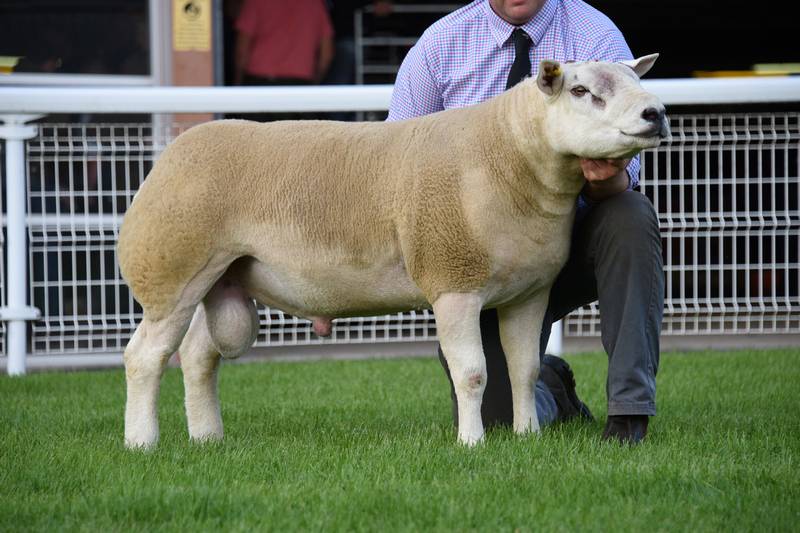 LOt 3527 7,000gns from Mess J Watson & Co