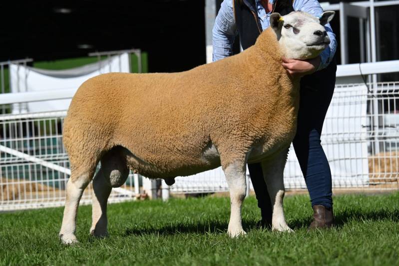 Lot 2172 from R J Watkins sold for 5000gns