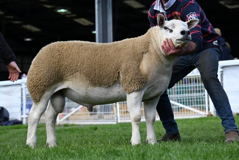 Lot 2333 from O J Watkins sold for 5200gns