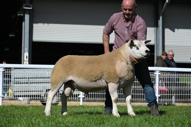 Lot 2419  form E J Smauel, Droitwich sold for 900gns