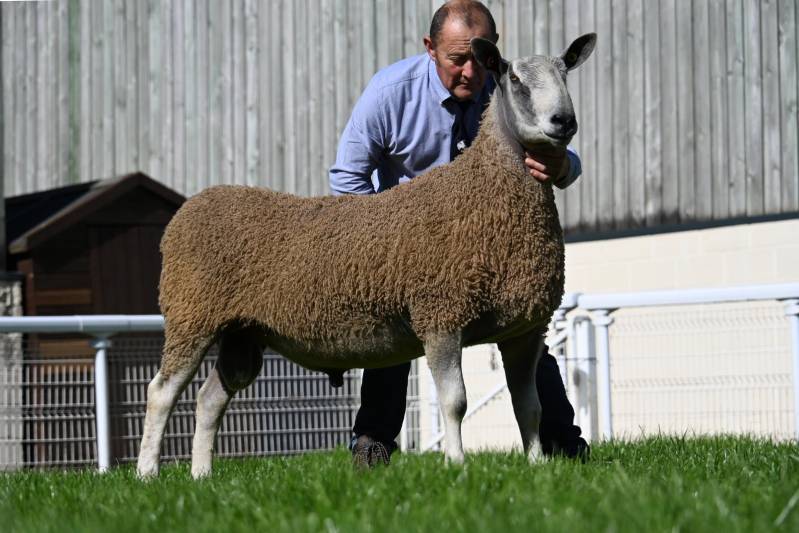 Lot 255 from Dewi Williams sold for 4200gns