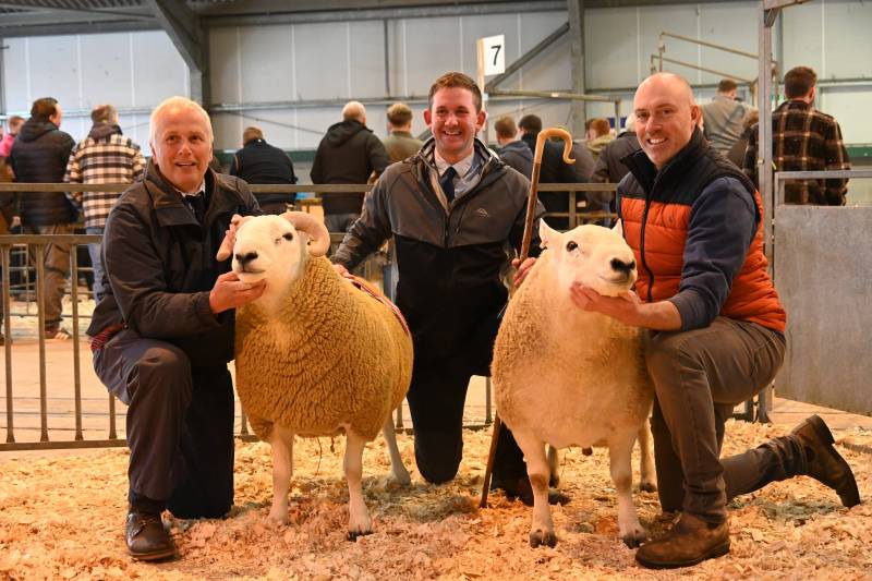 South Country Cheviot form J F Irving & Son, Selkirk